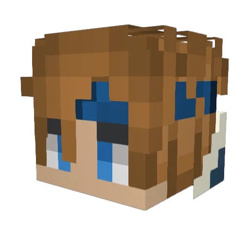 AnonArrow Minecraft avatar head, 3D render