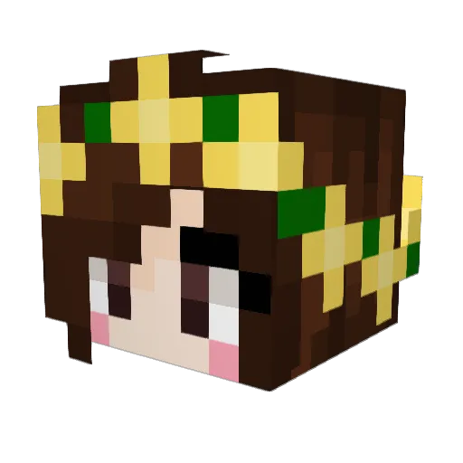 AnonJkItsMe Minecraft avatar head, 3D render