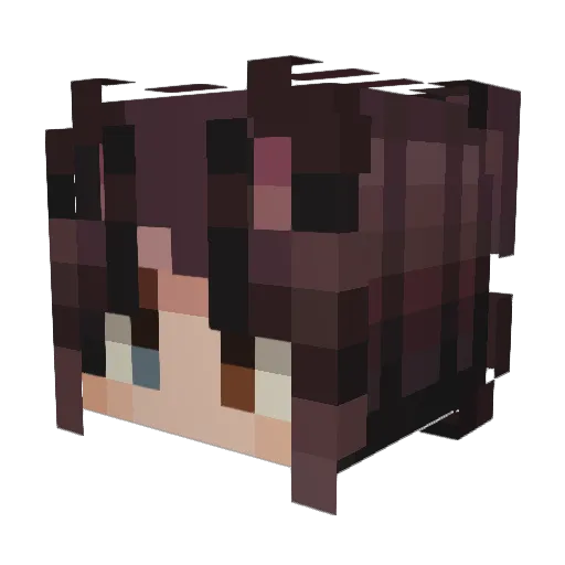 AnonPigeon Minecraft avatar head, 3D render