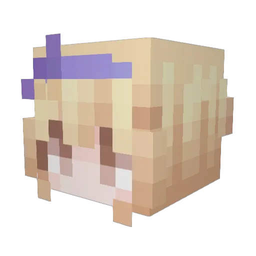 AnonStein Minecraft avatar head, 3D render