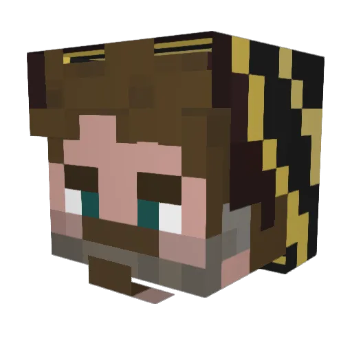 Anon_Wald Minecraft avatar head, 3D render