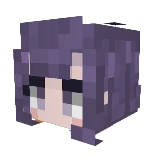 Anon___ Minecraft avatar head, 3D render