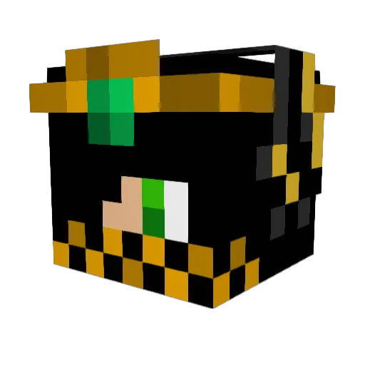 Anona250 Minecraft avatar head, 3D render