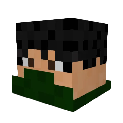 Anonalyus Minecraft avatar head, 3D render