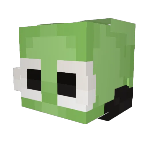 AnongiBongi Minecraft avatar head, 3D render