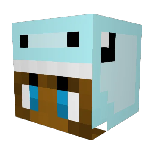 Anoniempje01 Minecraft avatar head, 3D render