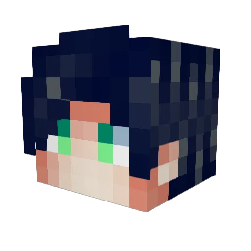 Anonim_GG_YT Minecraft avatar head, 3D render
