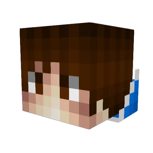 Anonimme Minecraft avatar head, 3D render