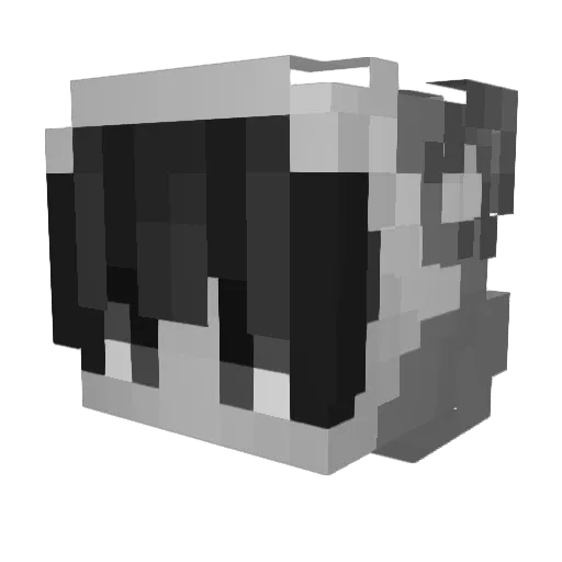Anonirn Minecraft avatar head, 3D render