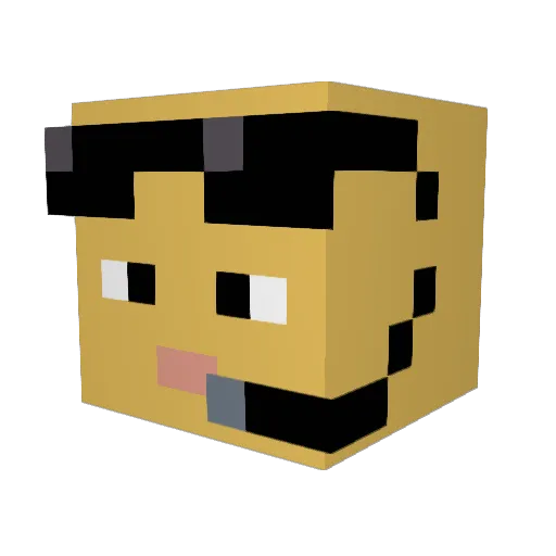 Anonk_a Minecraft avatar head, 3D render
