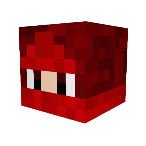 Anonmaster Minecraft avatar head, 3D render