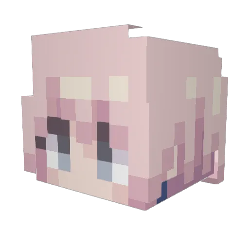 Anonn_tokyo Minecraft avatar head, 3D render