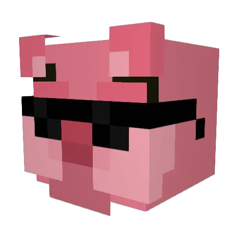 Anonnni Minecraft avatar head, 3D render
