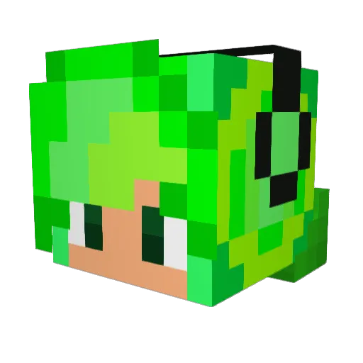 Anony0x Minecraft avatar head, 3D render