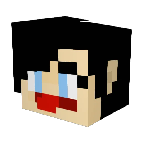 AnonymAnanas Minecraft avatar head, 3D render