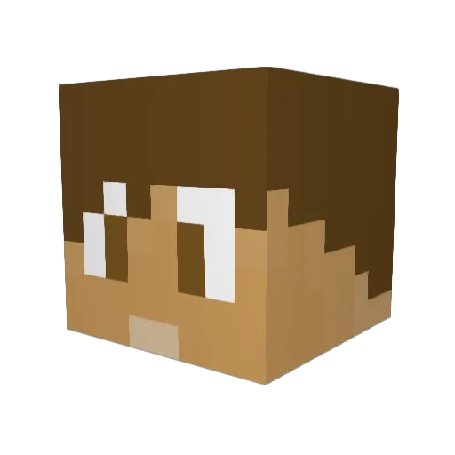 AnonymAnimal Minecraft avatar head, 3D render