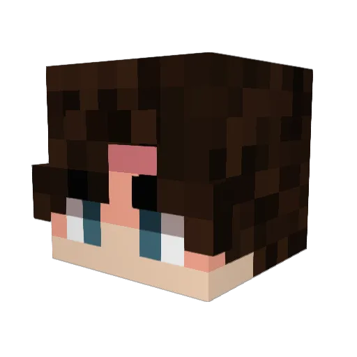 Anonym_H4CK3R_01 Minecraft avatar head, 3D render