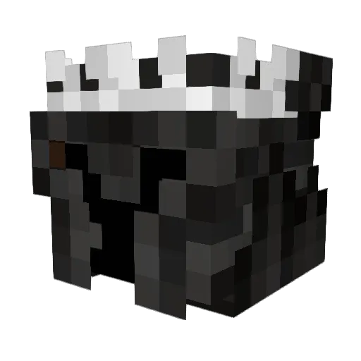 Anonym_Knight Minecraft avatar head, 3D render