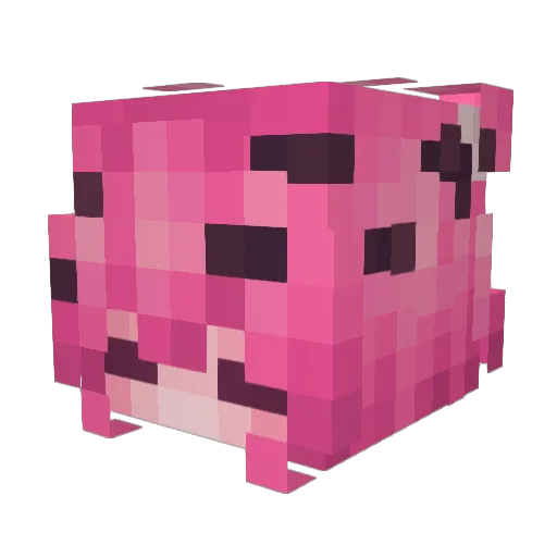 Anonymauze Minecraft avatar head, 3D render