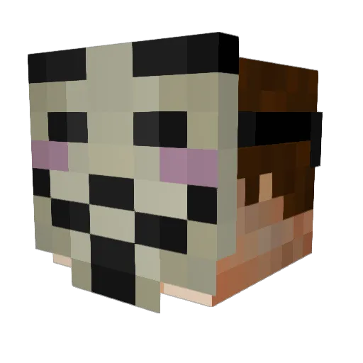 Anonymer_Hacker Minecraft avatar head, 3D render