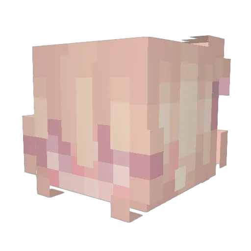 Anonymous0987 Minecraft avatar head, 3D render