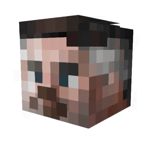 Anonymous1001011 Minecraft avatar head, 3D render