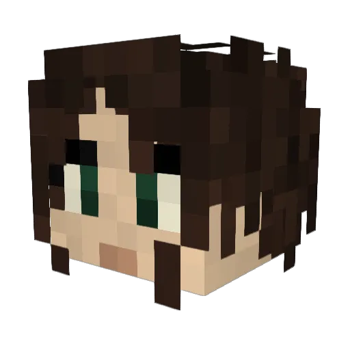 Anonymous11113 Minecraft avatar head, 3D render