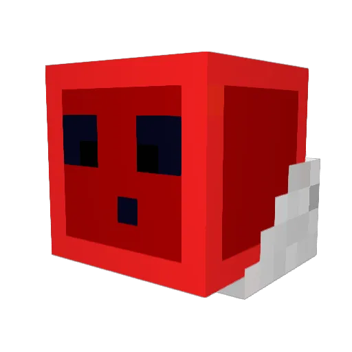 Anonymous13000 Minecraft avatar head, 3D render