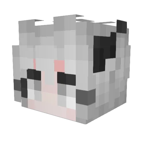 AnonymousDrucker Minecraft avatar head, 3D render