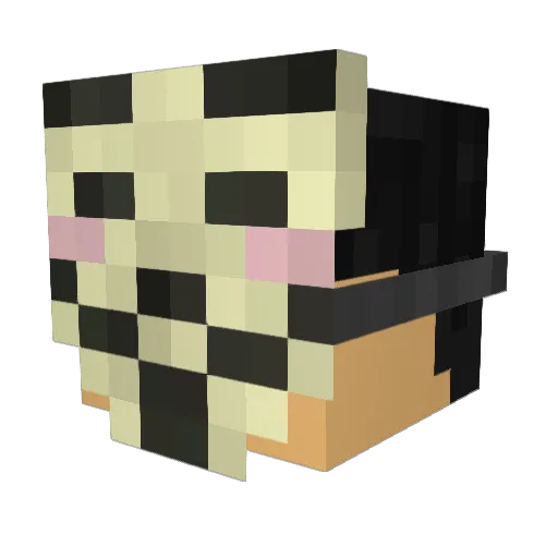 AnonymousFTP Minecraft avatar head, 3D render