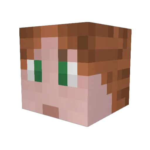 AnonymousFish Minecraft avatar head, 3D render
