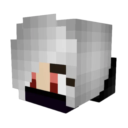 AnonymousFox17 Minecraft avatar head, 3D render