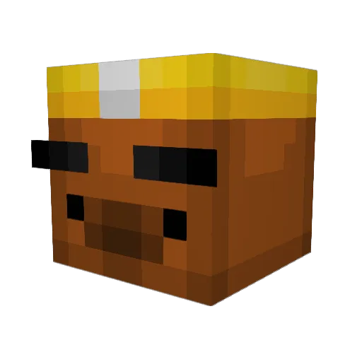 AnonymousFrost Minecraft avatar head, 3D render