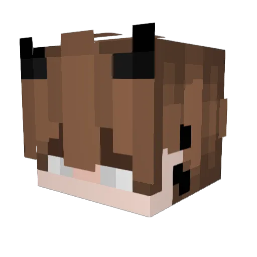 AnonymousMank Minecraft avatar head, 3D render