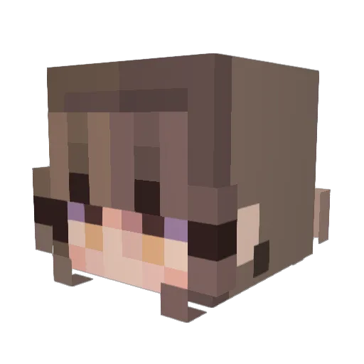 AnonymousPlayzz Minecraft avatar head, 3D render