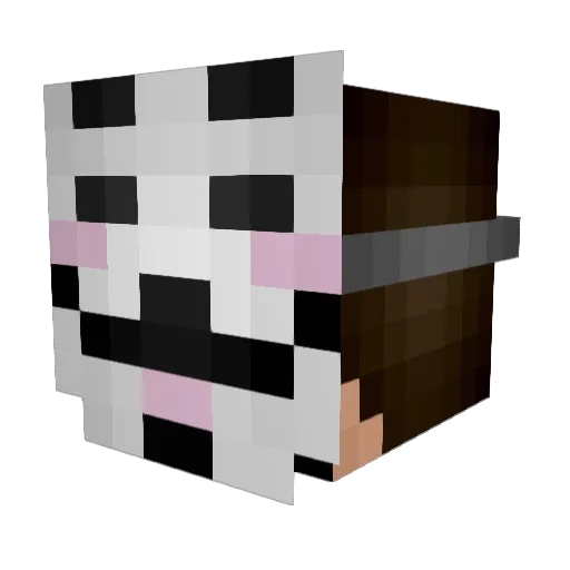 AnonymousPvP1824 Minecraft avatar head, 3D render