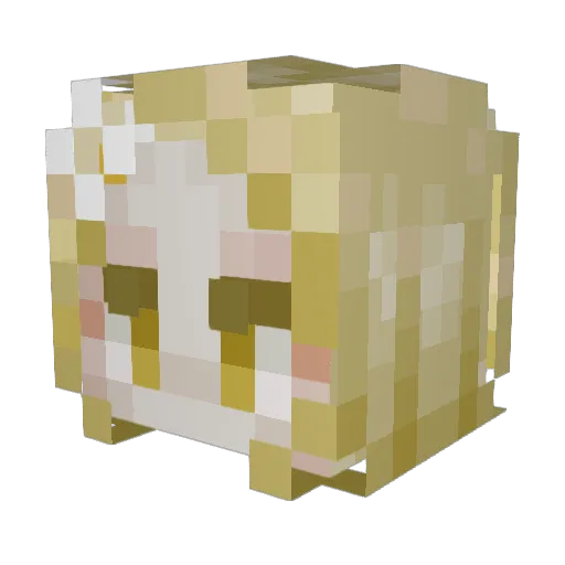 AnonymousSCP Minecraft avatar head, 3D render