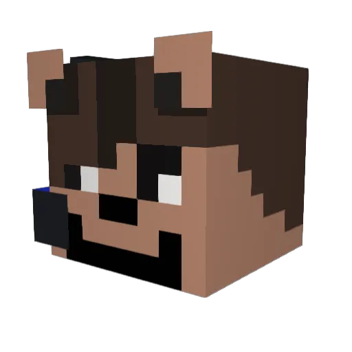 AnonymousWombat Minecraft avatar head, 3D render