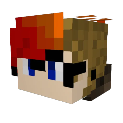 Anonymous_Buddha Minecraft avatar head, 3D render