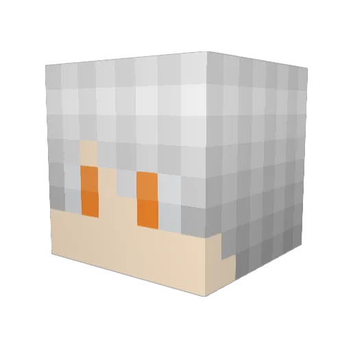Anonymous_Sans Minecraft avatar head, 3D render