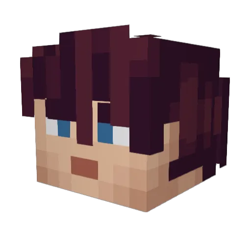 Anonymous_Tanuki Minecraft avatar head, 3D render