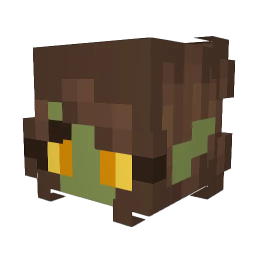 Anonymous_Twig Minecraft avatar head, 3D render