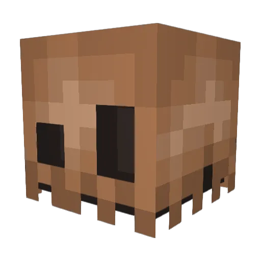 Anonymous__ Minecraft avatar head, 3D render