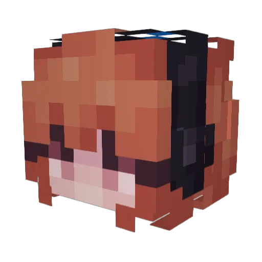 AnonymouseCookie Minecraft avatar head, 3D render