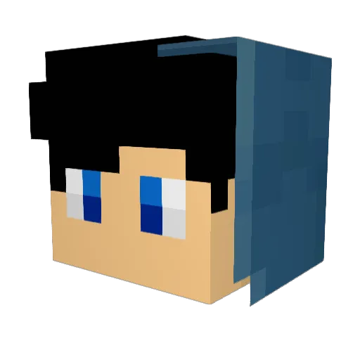 Anonymouskill Minecraft avatar head, 3D render