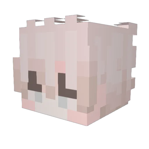 Anonymously Minecraft avatar head, 3D render