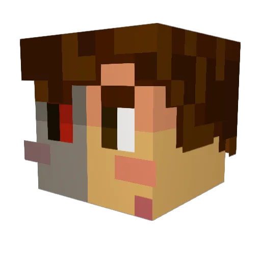 Anoobis2003 Minecraft avatar head, 3D render