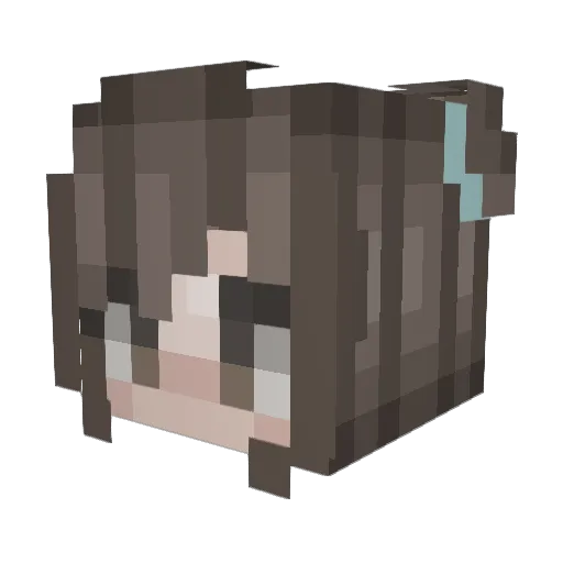 Anooi Minecraft avatar head, 3D render