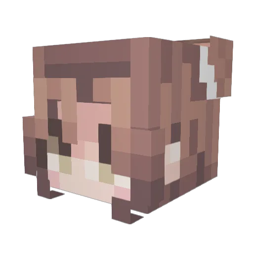 Anooli_ Minecraft avatar head, 3D render