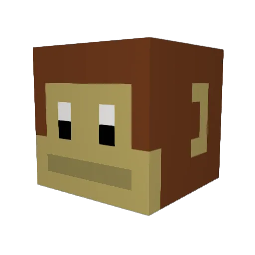 Anoose22 Minecraft avatar head, 3D render